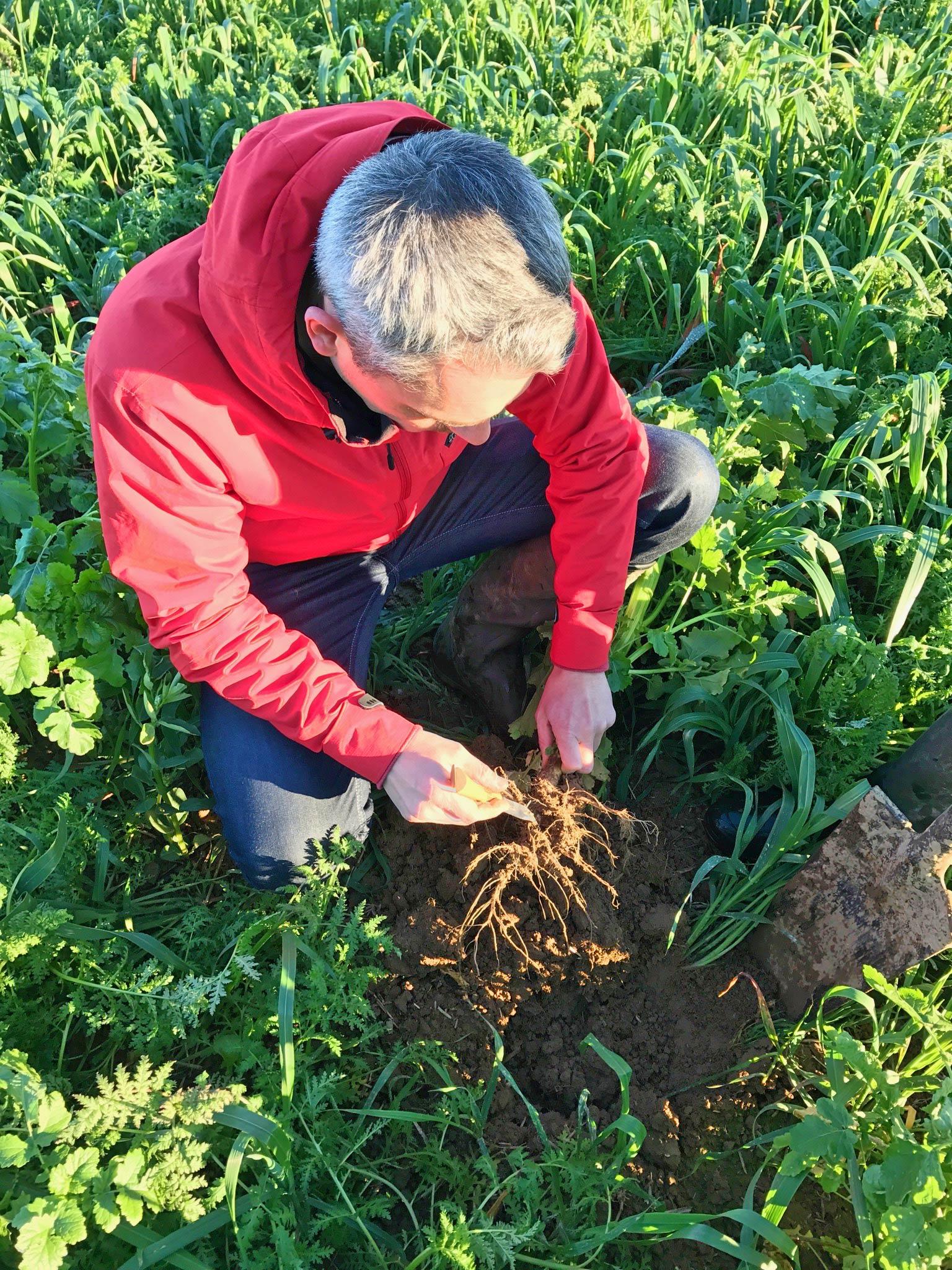 Asesorando a agricultores belgas en agricultura regenerativa